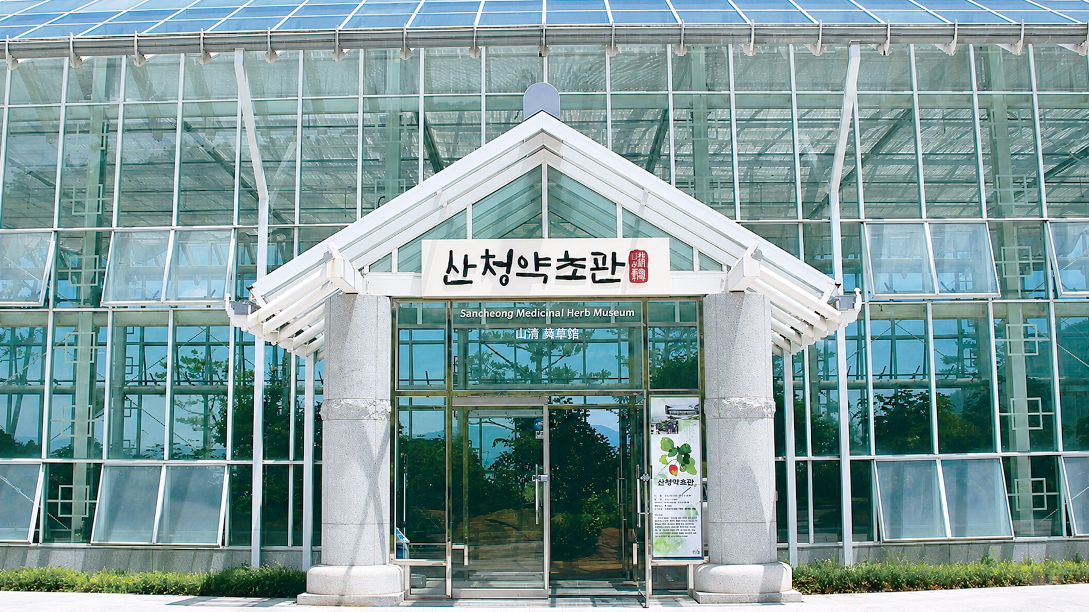 산청약초관